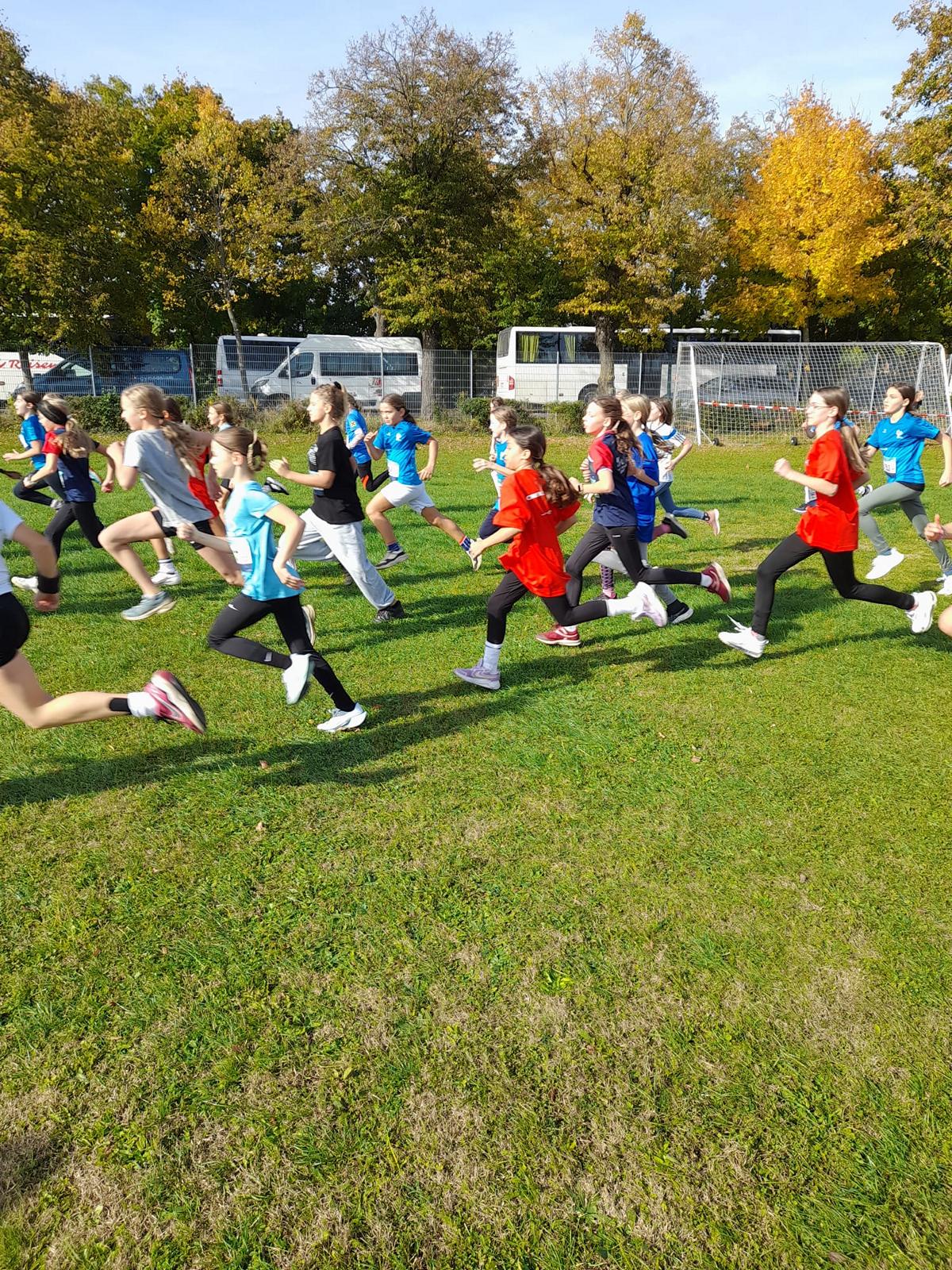 20251021_175105158_iOS