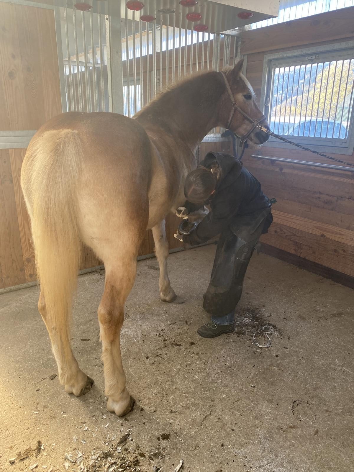 20251104_122304660_iOS