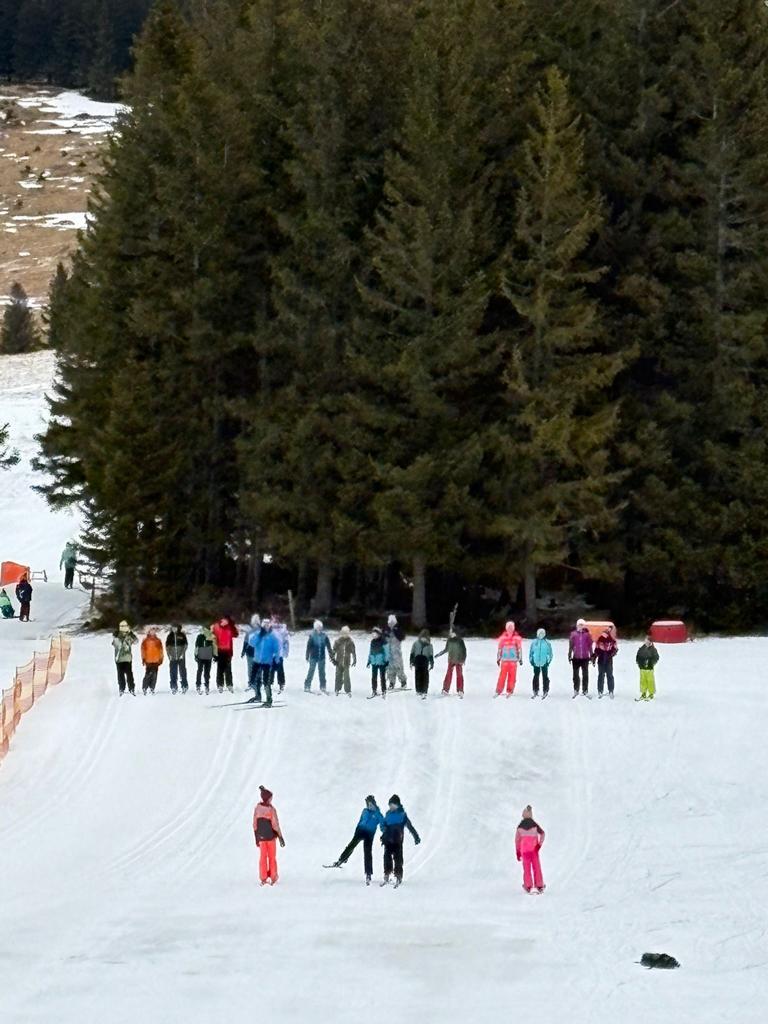 WhatsApp Image 2026-02-14 at 10.01.37