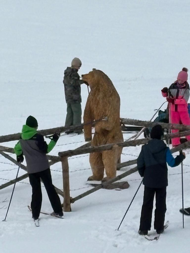 WhatsApp Image 2026-02-14 at 10.01.373